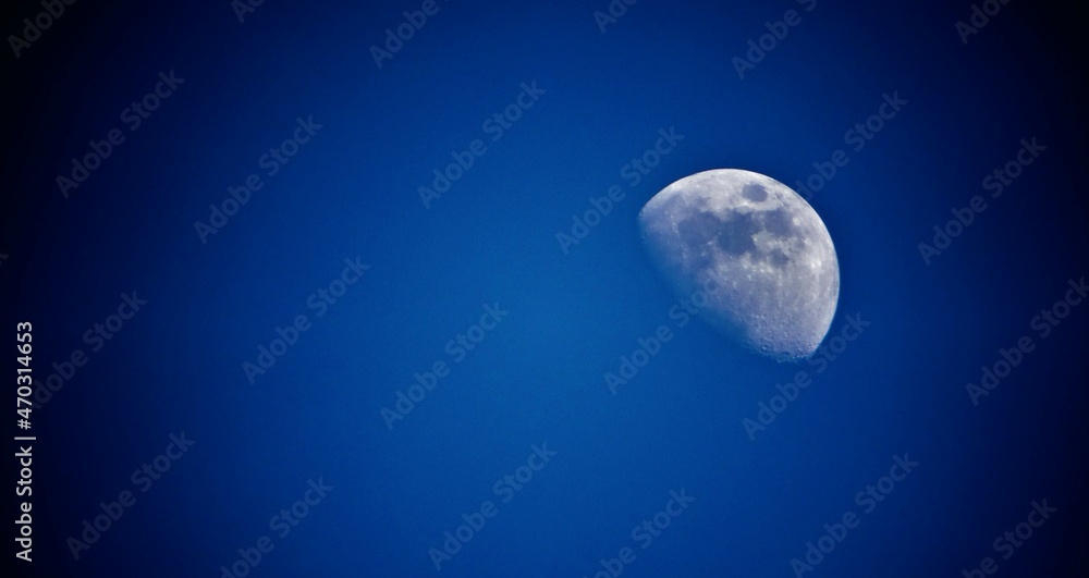 moon moon