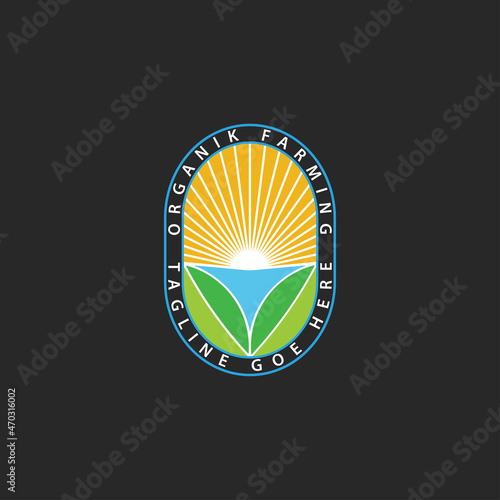 Summer Agriculture Harvest, Organic farm logo logo design
