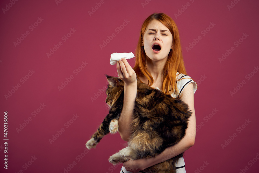 woman holding fluffy cat in her arms pet friendship pink background woman holding fluffy cat in her arms pet friendship pink background