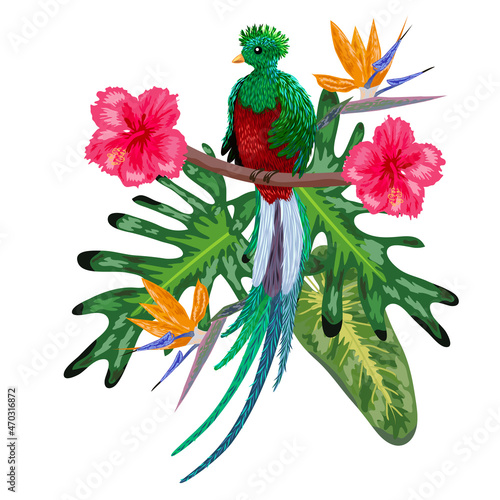 Hand drawn quetzal bird. Colorful illustration. Quetzal sitting on a branch.