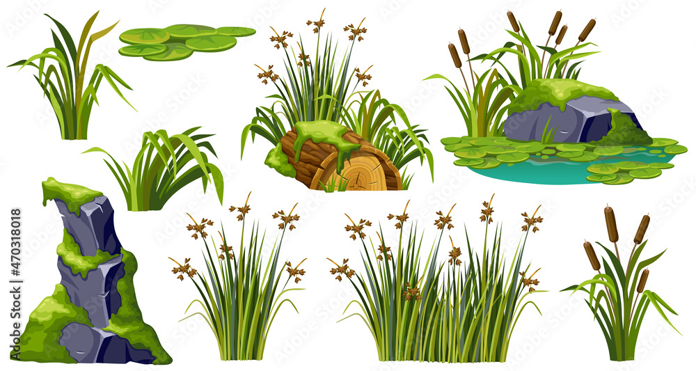 Logs, stumps, stone in moss. Marsh reed, grass, swamp cattails. Cartoon broken tree in lichen in swamp jungle. Rock in tropical damp forest. Set isolated vector element on white background. - obrazy, fototapety, plakaty 
