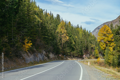 Colorful autumn landscape with larches with yellow branches along mountain highway. Coniferous forest with yellow larch trees along mountain road in autumn colors. Highway in mountains in fall time. © Daniil
