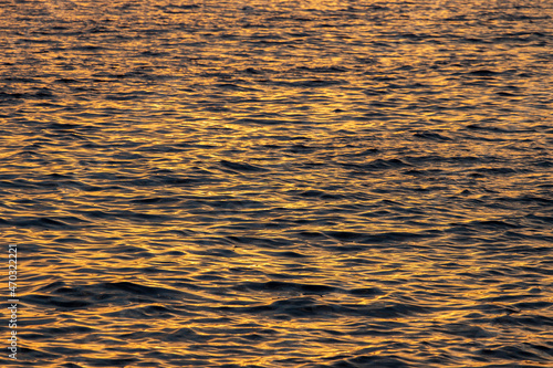 Sea water surface. Orange waves in the sunset light.
