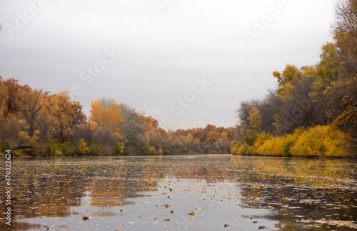 Autumn at pond with leaves on the water