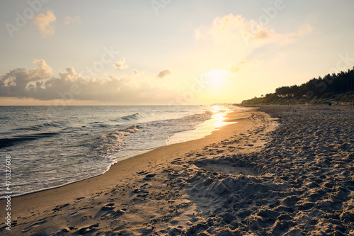 Baltic Sea beach