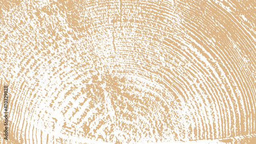 wood grain texture vector illustration background