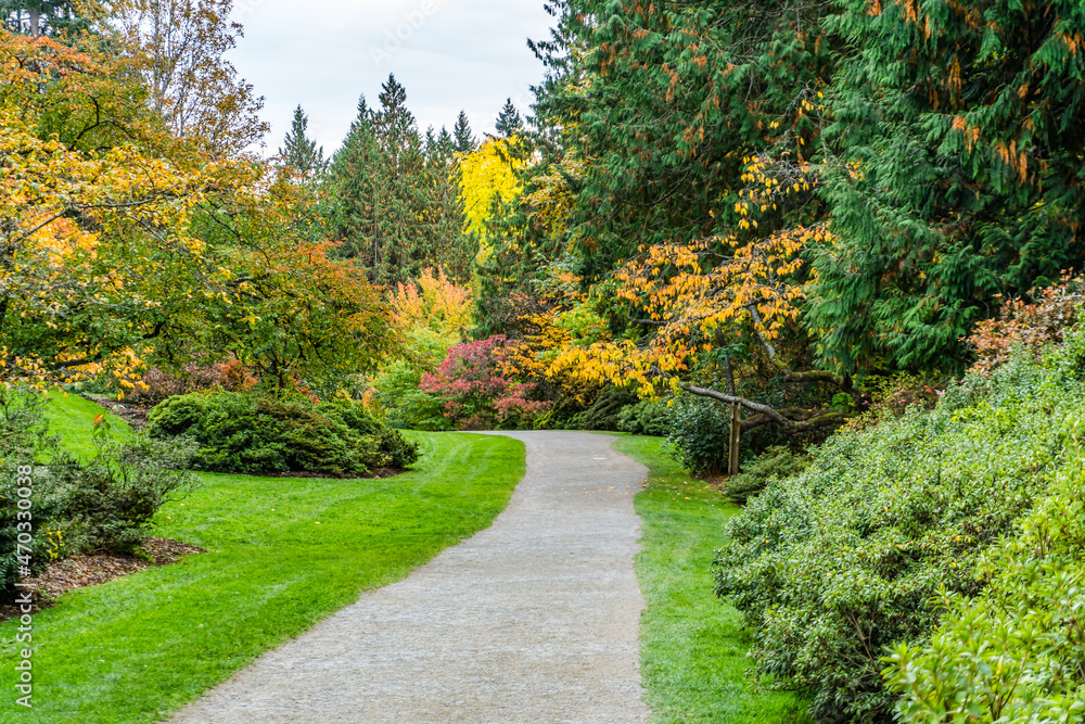 Washington Park Arboretum Autumn Path 11