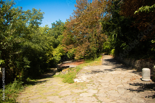 path in the park photo