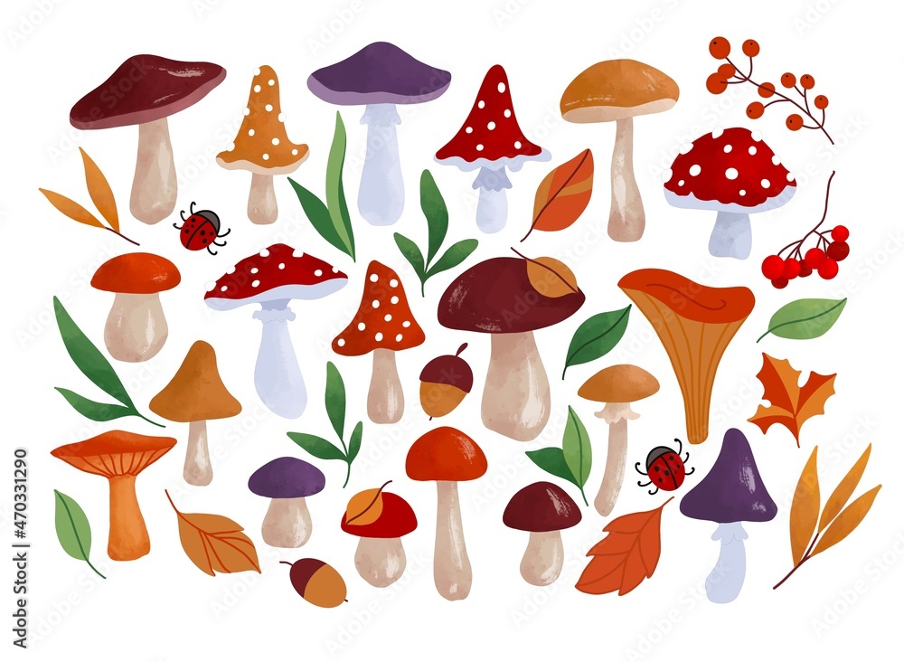 Set of elements of the autumn forest with fallen leaves and mushrooms in bright colors for your design, textiles, scrapbooking, cards and paper. Cute simple illustration in cartoon style Set of elements of the autumn forest with fallen leaves and mushrooms in bright colors for your design, textiles, scrapbooking, cards and paper. Cute simple illustration in cartoon style