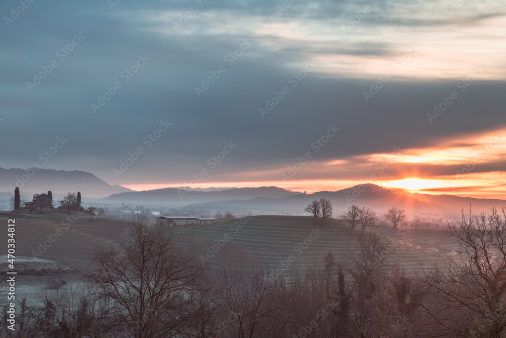 Obraz premium Cold misty morning in the vineyards of Italy