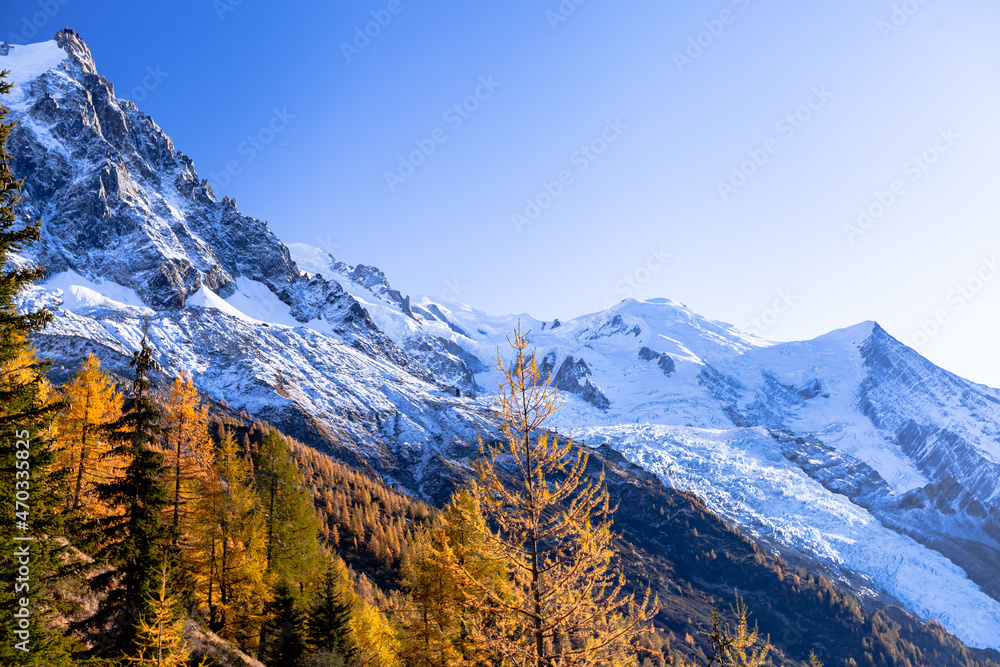 Evergreen trees on background of scenic snowy mountains. Mont Blanc mountain range, Chamonix-Mont-Blanc, France, 2021.Snowcapped mountains and fall trees. Mont Blanc mountain range, Chamonix.