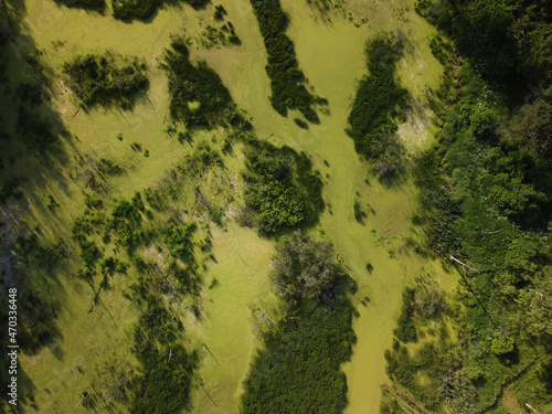 Forest and swampy river shooting from a copter
