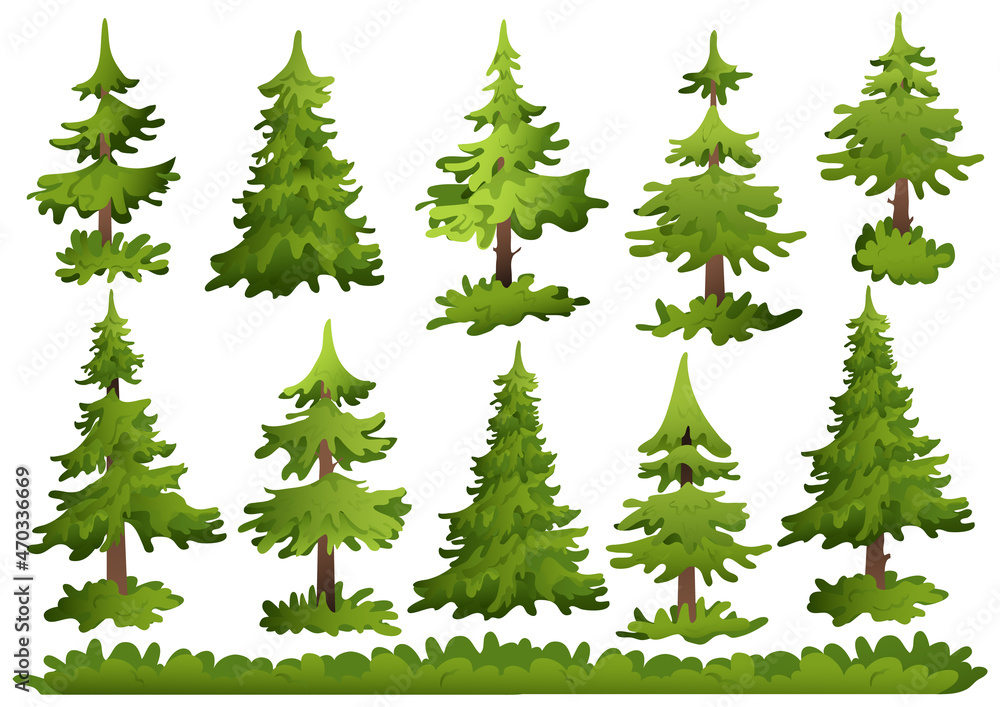 Christmas tree isolated set on white background. Collection evergreen coniferous trees pines and bushes. Vector illustration forest landscape.