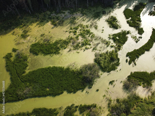 Forest and swampy river shooting from a copter