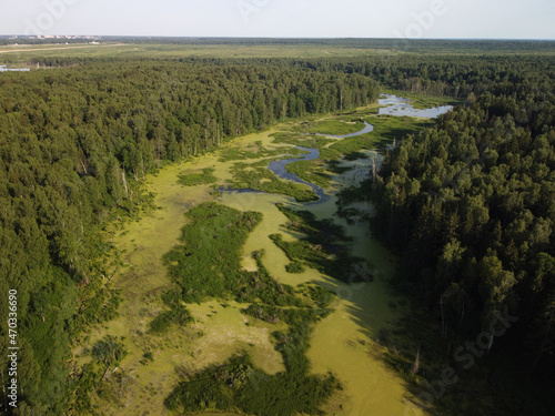 Forest and swampy river shooting from a copter