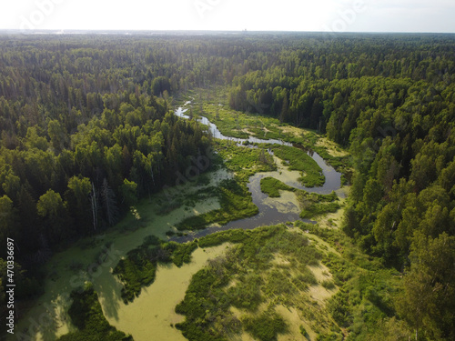 Forest and swampy river shooting from a copter
