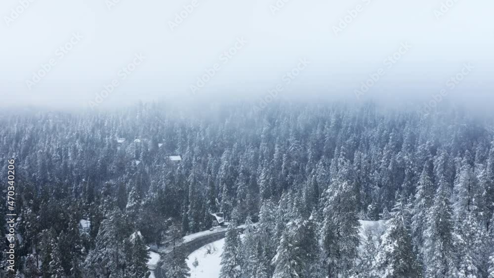 Overhead drone flying through heavy snow storm in winter wonderland mountain landscape. Cinematic aerial snowfall over road in dense snow covered pine trees. Scenic snowy forest on cold winter day Overhead drone flying through heavy snow storm in winter wonderland mountain landscape. Cinematic aerial snowfall over road in dense snow covered pine trees. Scenic snowy forest on cold winter day