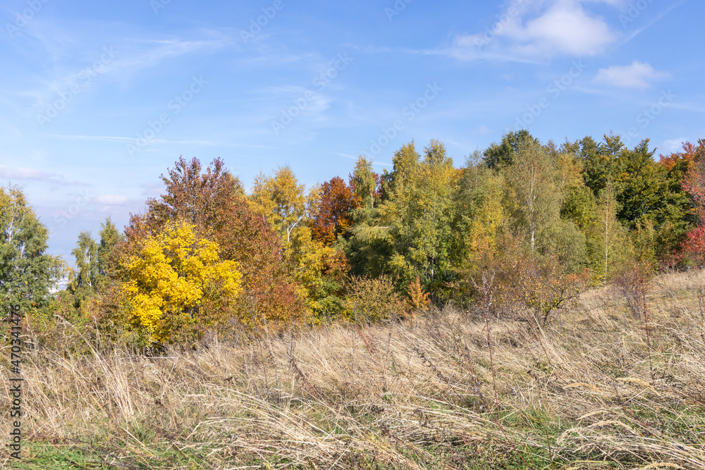Fototapeta premium Autumn view of Vitosha Mountain, Bulgaria