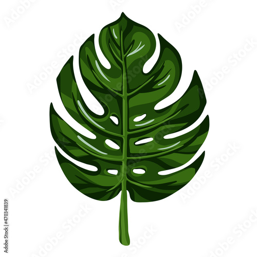 Monstera leaf, floral hand drawn sketch isolated on white. Bright green color. Vector for tropical nature template, organic products design, rainforest plant illustration, exotic patterns.