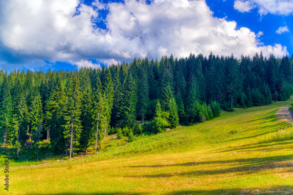 Fototapeta premium Mountain landscape during sunny autumn day.
