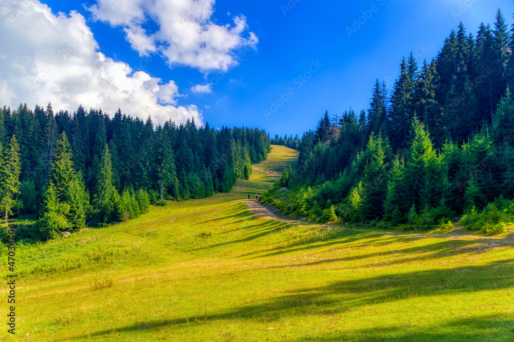 Fototapeta premium Mountain landscape during sunny autumn day.