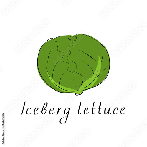 Iceberg lettuce colorful icon. Isolated object. Organic vegetable food. Vector illustration
