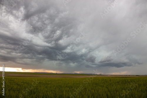 Severe Storms © NZP Chasers
