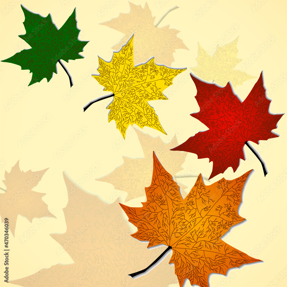 Autumn background of maple leaves. Colofrul image, vector illustration eps 10 Autumn background of maple leaves. Colofrul image, vector illustration eps 10