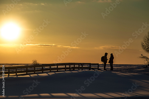 beautiful winter landscape,with sun, ice and snow