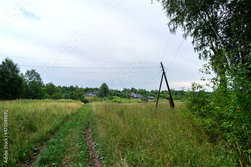 A grassy country road to wooden houses in the distance. In the foreground there is a green tree and a pole with a power line. Grey sky. Summer. Daylight soft light.