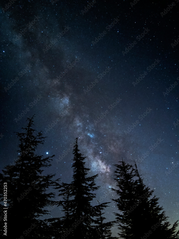 Naklejka premium Beautiful scenery of the Milky Way galaxy in the night sky over a range of trees
