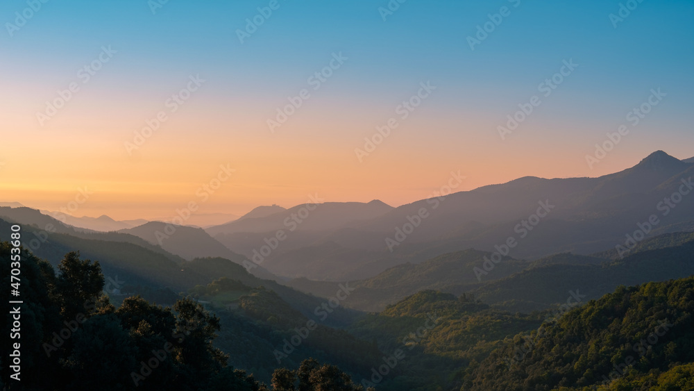 Obraz premium Green wild landscape valley in the woods with a misty foggy morning sky