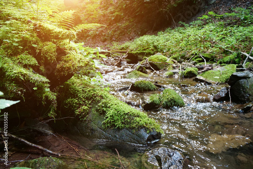 Beautiful brook in mountains. Clean and cold water of small river photo