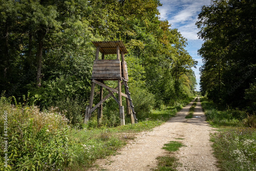 Lonely, wooden hunting tower rising above dirt road passing through ancient hunting grounds of Turopoljski Lug, beautiful forest near city of Zagreb, Croatia Lonely, wooden hunting tower rising above dirt road passing through ancient hunting grounds of Turopoljski Lug, beautiful forest near city of Zagreb, Croatia