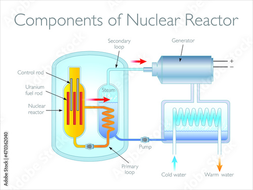 Components of Nuclear Reactor - The energy released from the Uranium splitting heats the water. steam is then used to turn electricity generators, producing electricity. Physics Illustration