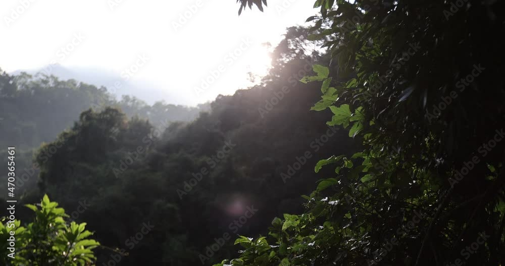 Sunrise light rays over tropical winter forest Sunrise light rays over tropical winter forest