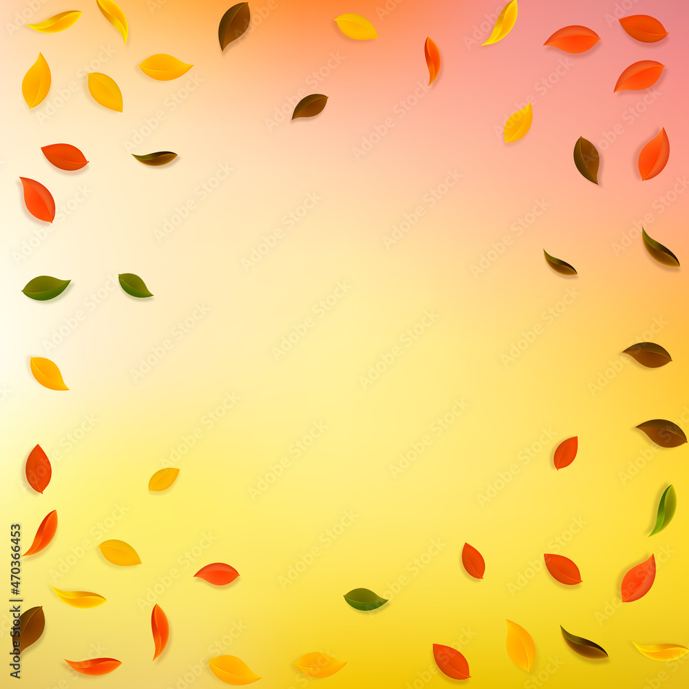 Falling autumn leaves. Red, yellow, green, brown r Falling autumn leaves. Red, yellow, green, brown r