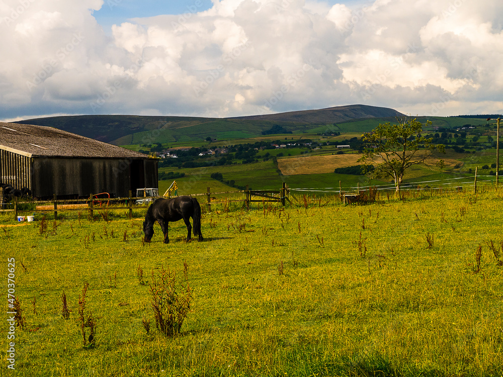 Obraz premium Horse on farm with farm buildings and Pendle Hill in Background. This farm is on the edge of Burnley in Lancashire