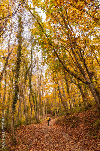 A young woman on a path of trees towards Mount Erlaitz in autumn in the town of Irun, Gipuzkoa. Basque Country