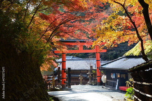 嵯峨鳥居本の紅葉