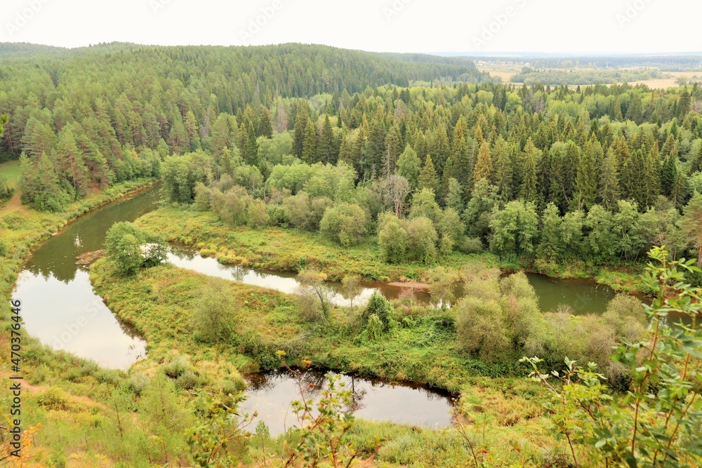 View from the top to the valley of a small forest river 