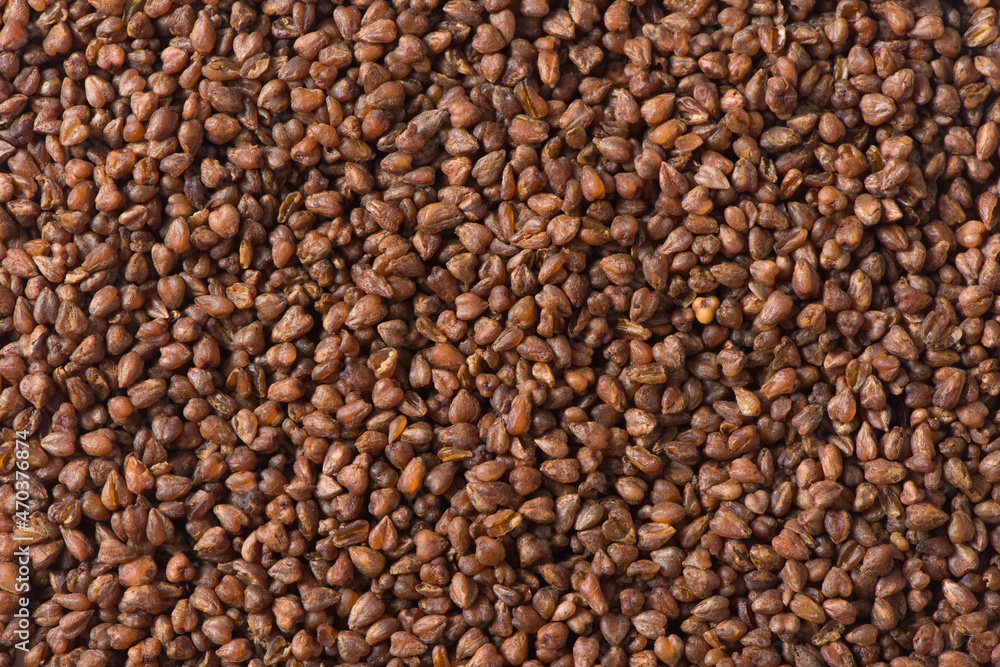 buckwheat tea isolated on white background. buckwheat tea isolated on white background.