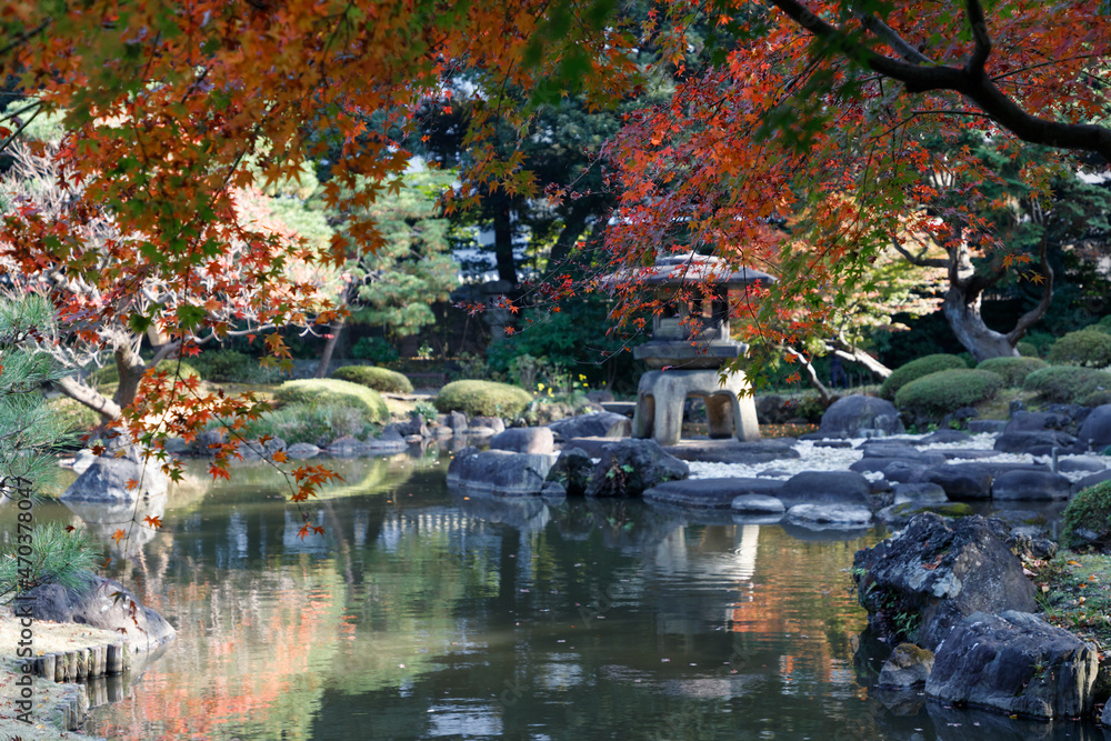 Fototapeta premium 日本庭園、水面に映る赤く染まったモミジと石灯篭