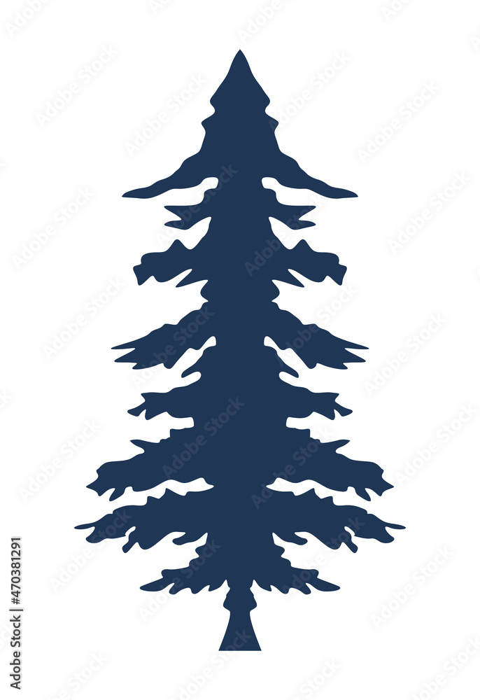 Obraz premium pine tree forest silhouette