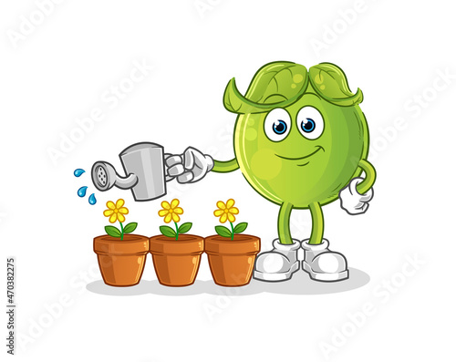 pea watering the flowers mascot. cartoon vector
