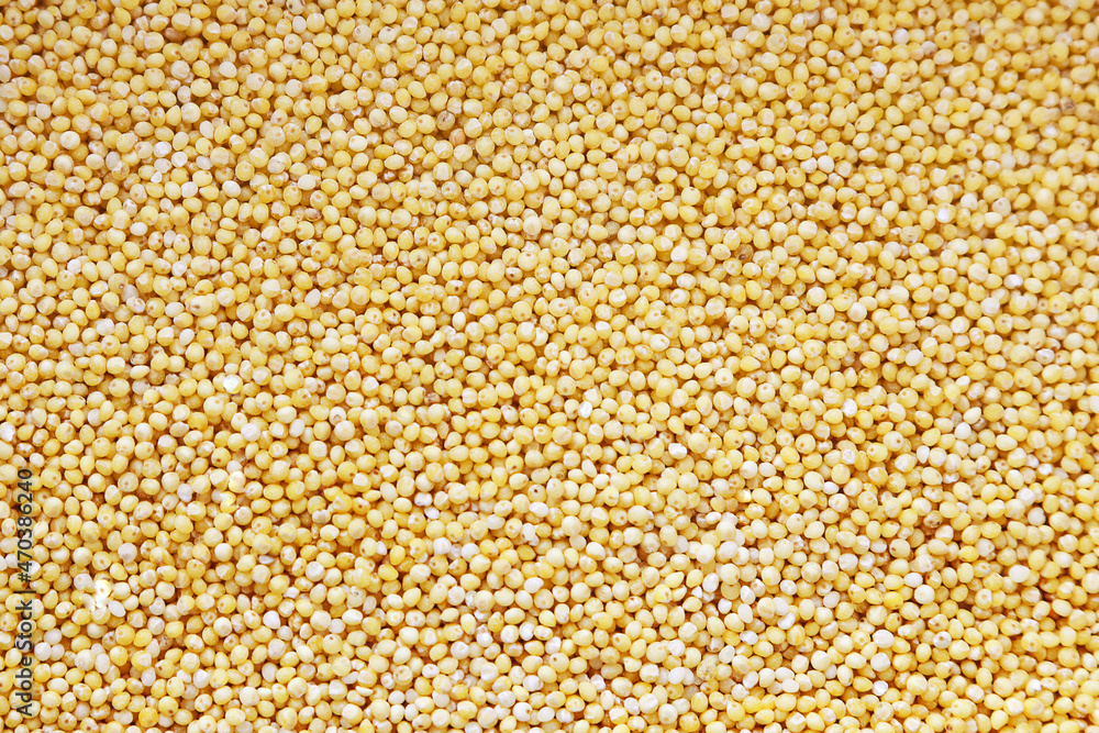 Yellow millet small cereals texture background even layer