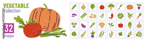 Vegetable collection. Onion, garlic, tomato, cucumber and carrot. Vector illustration bundle. Beets, pepper, potato and cabbage. Radish, eggplant, pumpkin and spinach