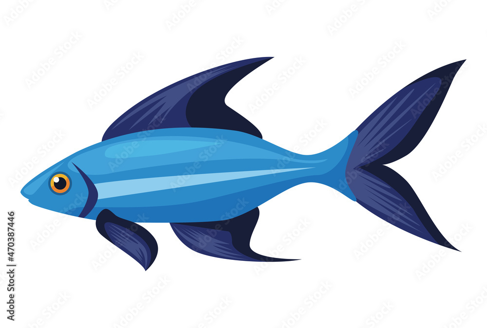 Fototapeta premium Parrotfish exotic sealife