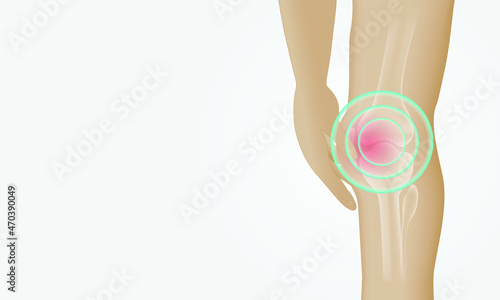 Knee painful on white background. Skeleton x-ray. illustration medical concept.