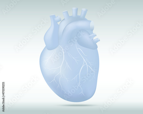 Human heart with vessels isolated illustration on light grey background.